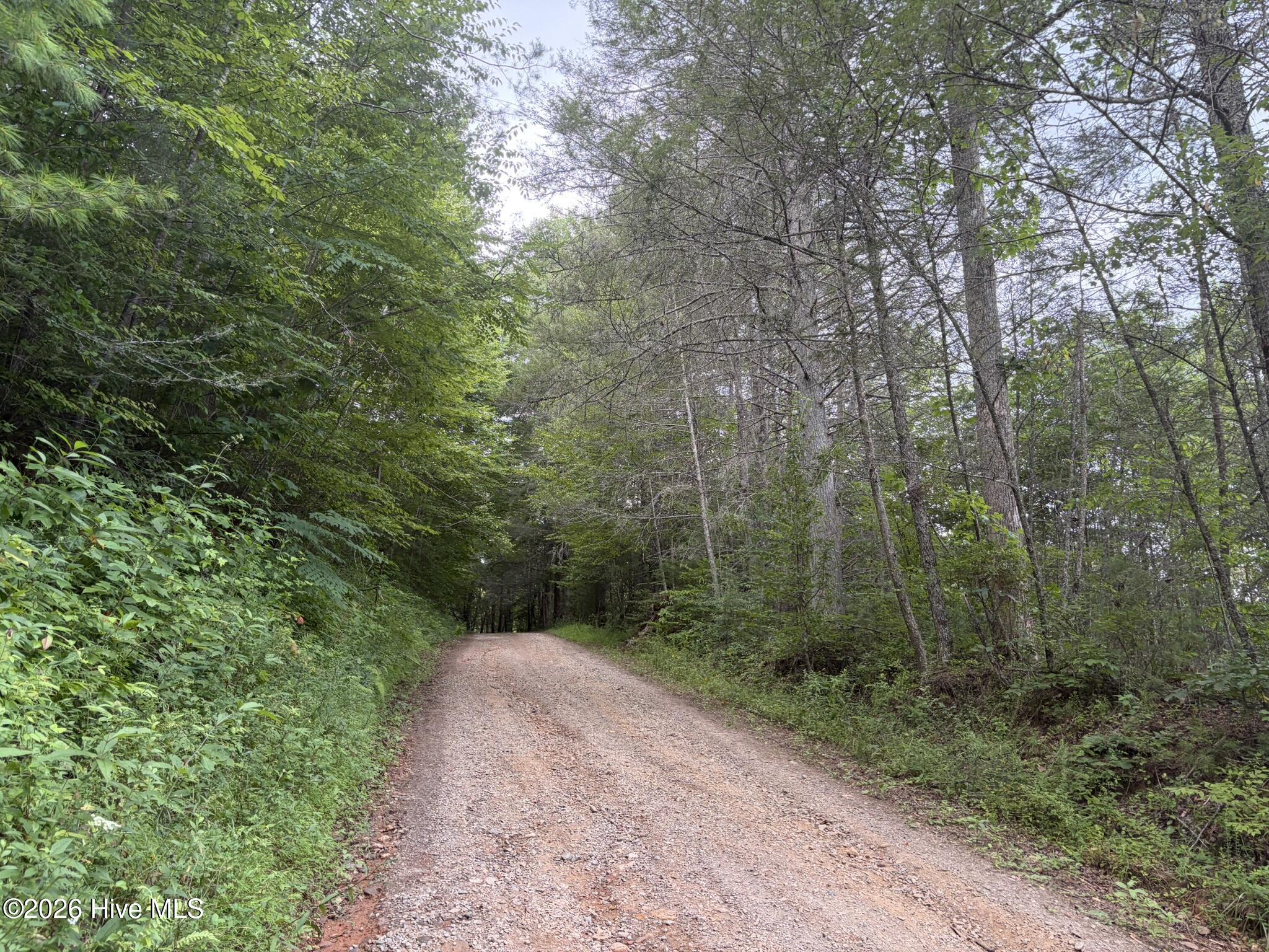 Land in Murphy 3