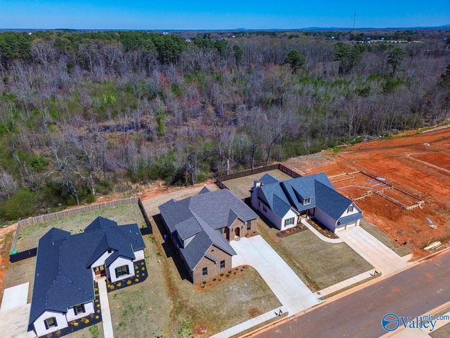 3028 Lisa Ln Se, House other with 4 bedrooms, 4 bathrooms and null parking in Decatur AL | Image 34