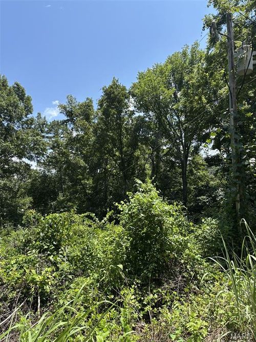 9 Lot 15, 19 And 22 Deer Run, Van Buren, MO, 63965 | Card Image