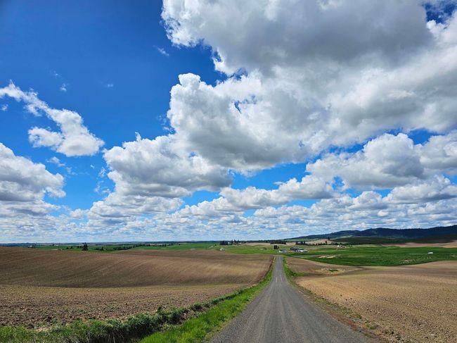 000 E Horton Rd, Home with 0 bedrooms, 0 bathrooms and null parking in Rockford WA | Image 16