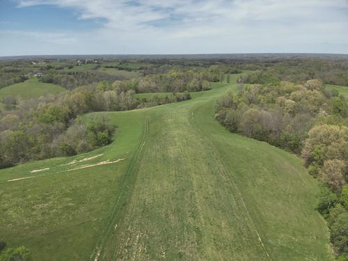 2451 Sardis Rd, Mount Olivet, KY, 41064 | Card Image