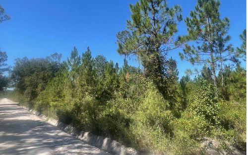 TBD Se Croft St, Lulu, FL, 32061 | Card Image