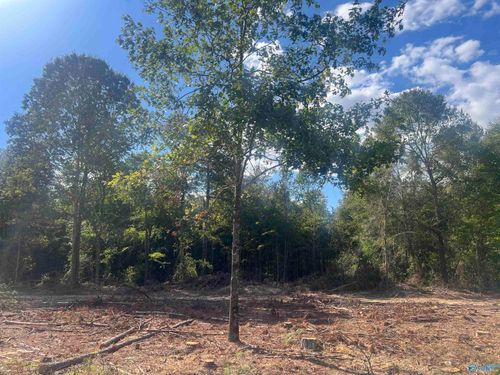 Lot 2, Tract 3 Summer Breeze Dr, Cedar Bluff, AL, 35959 | Card Image