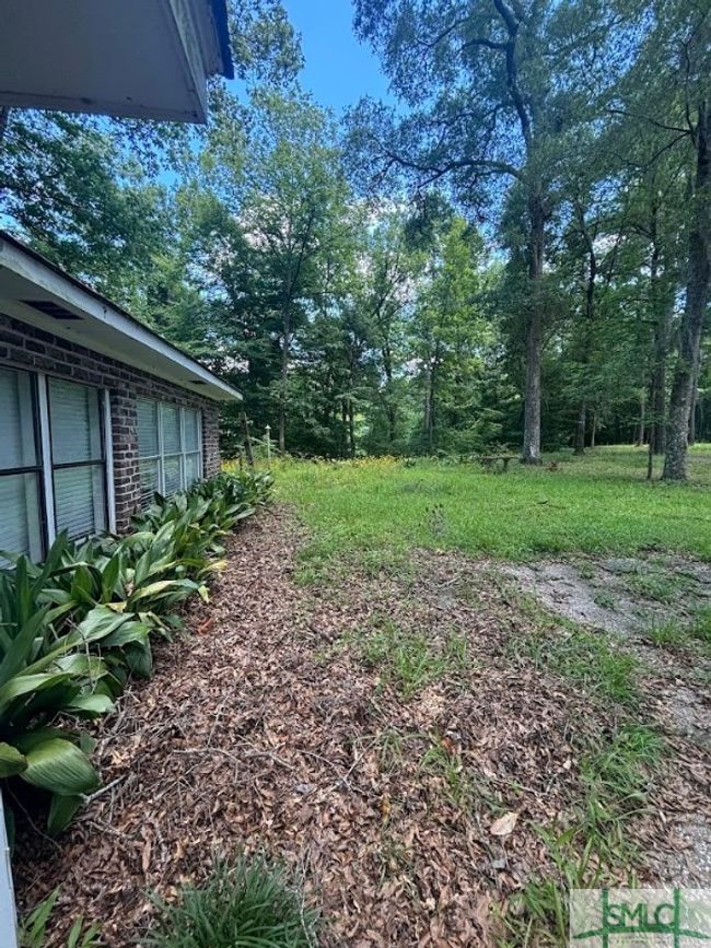Front yard | Image 20