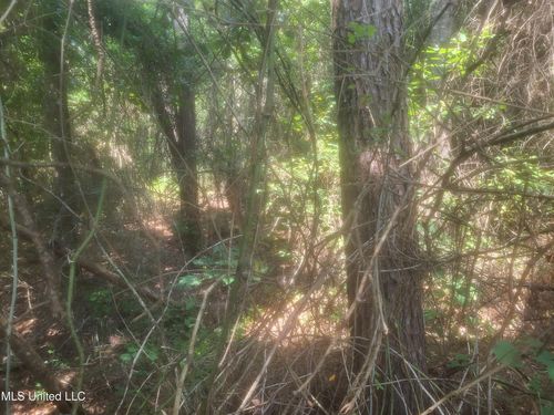 0 Otho Davis Rd, Lumberton, MS, 39455 | Card Image