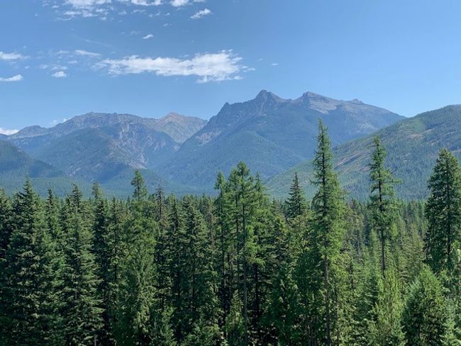 Mountain view featuring a wooded view | Image 82