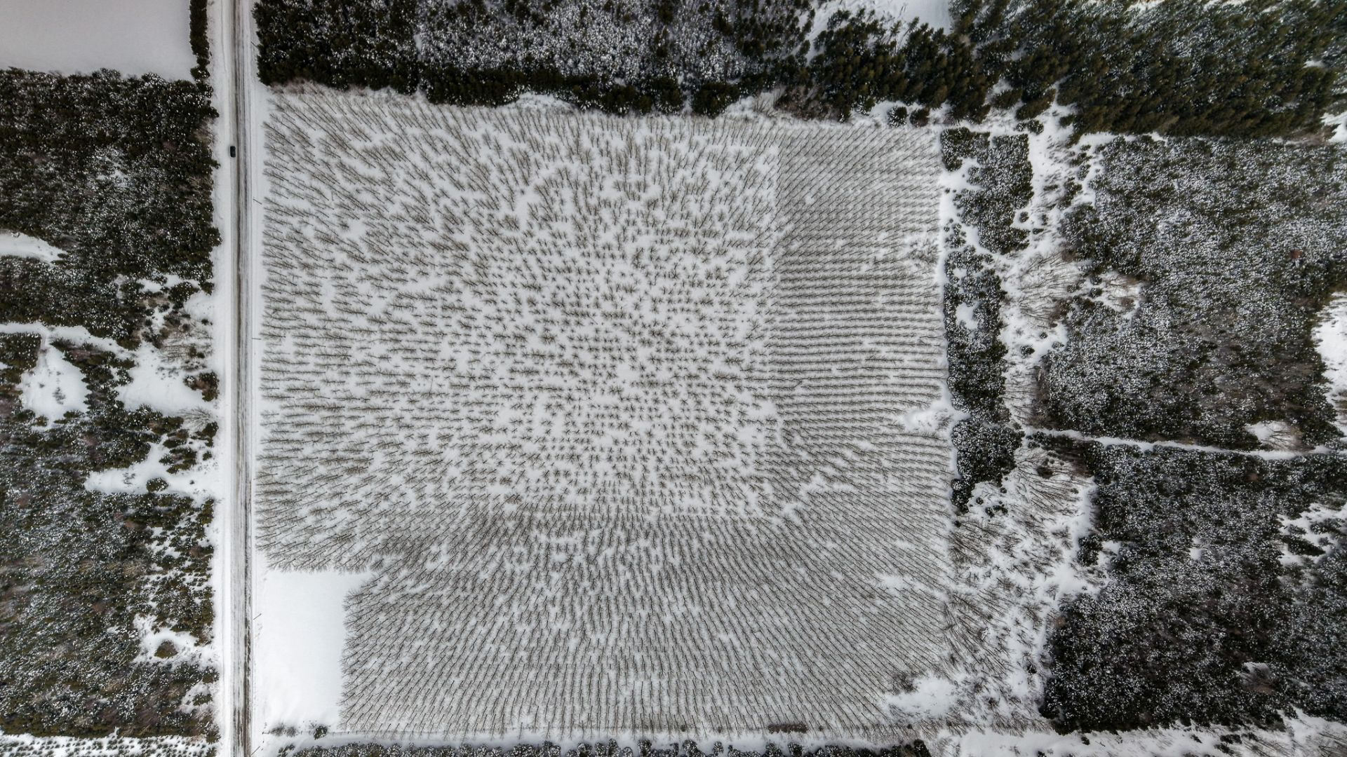 Land in Unknown 2
