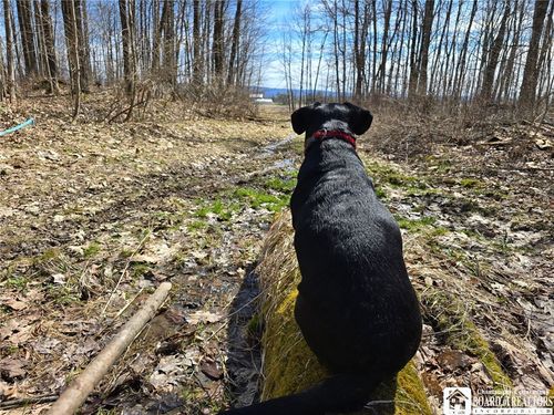 00 W Cobb Rd, Falconer, NY, 14733 | Card Image