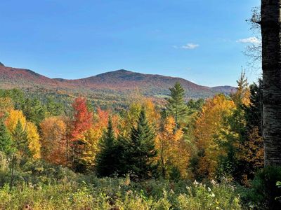 LOT-2-ANDAMP-LOT-3 - 00 East Darling Hill Road, Home with 0 bedrooms, 0 bathrooms and null parking in Burke VT | Image 1