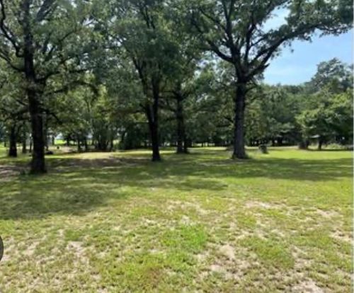N/A Tbd Pecan Oak Trail, Wills Point, TX, 75169 | Card Image