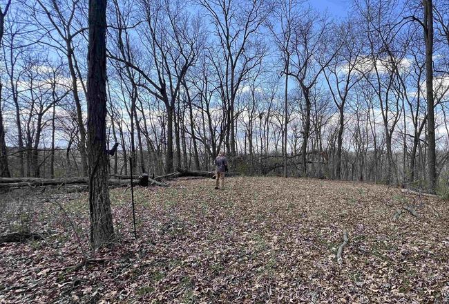 71 +/- Acres Scenic View Road, Home with 0 bedrooms, 0 bathrooms and null parking in Seneca WI | Image 25