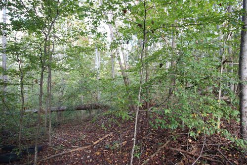 1559 Country Estates Rd, INMAN, SC, 29349-6349 | Card Image