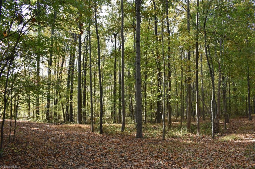 Land in Thomasville 5