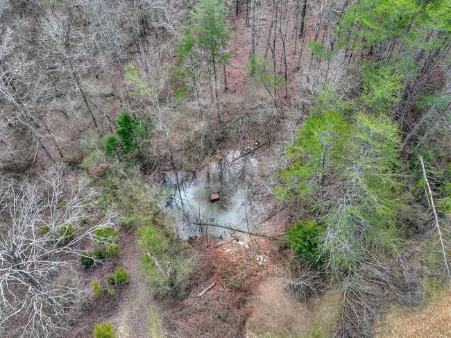 7601 Gamble Rd, House other with 3 bedrooms, 2 bathrooms and 4 parking in Georgetown TN | Image 46