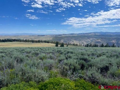 924 Cinnamon Trl, Powderhorn, CO, 81243-9598 | Card Image
