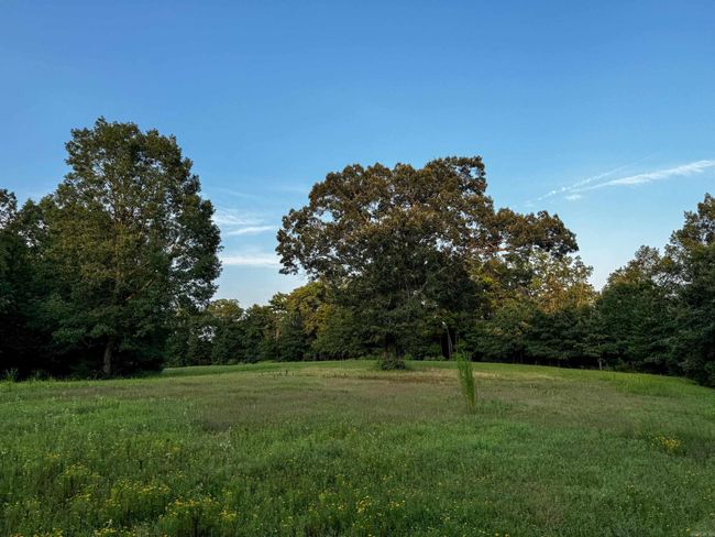 192 Sweet Gum Holw, Home with 0 bedrooms, 0 bathrooms and null parking in Rose Bud AR | Image 29