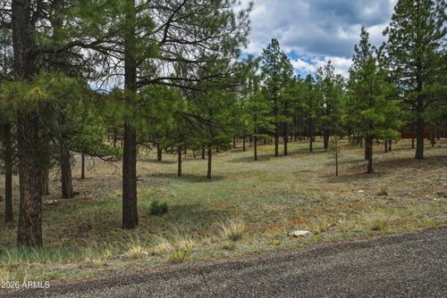 381-2799 Cherokee Way, Happy Jack, AZ, 86024 | Card Image