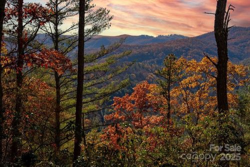 tract-ii-TBD Morgan Drive, Penrose, NC, 28766 | Card Image