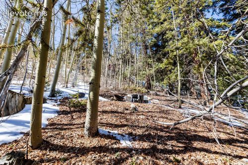 944 Roberts Rd, ALMA, CO, 80420-5127 | Card Image
