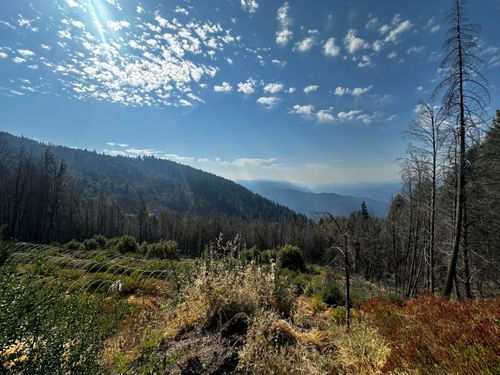 164 7n15 Road, Willow Creek, CA, 95573 | Card Image