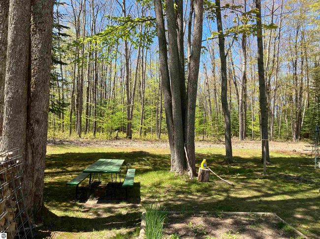 1295 Wa Ba Tesse Dr Ne, House other with 2 bedrooms, 1 bathrooms and null parking in Kalkaska MI | Image 28