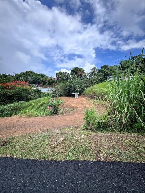Barrio Guadiana Camino Colon, NARANJITO, PR, 00719 | Card Image