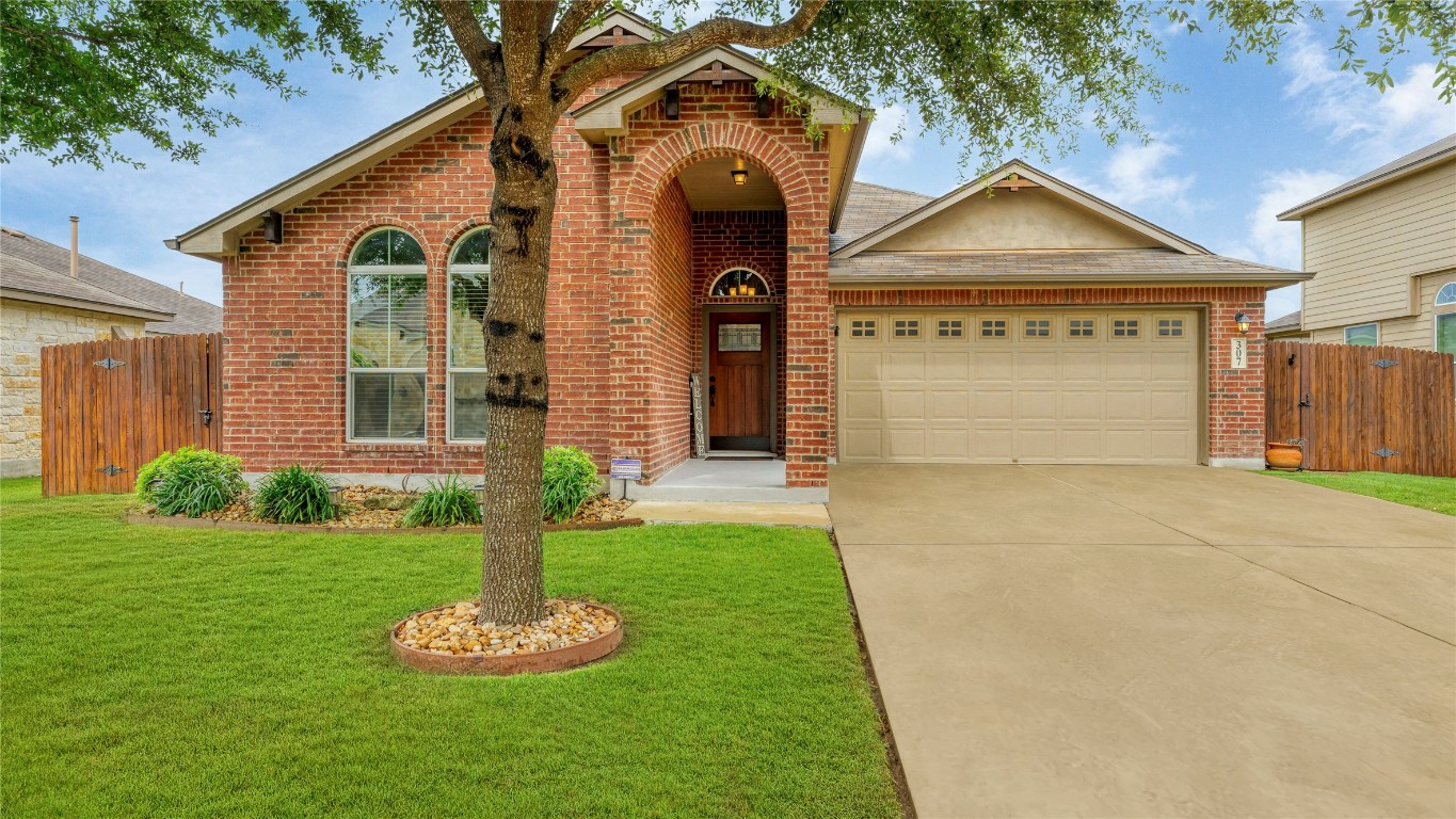 Escarpment Oak , New Braunfels, TX 78130