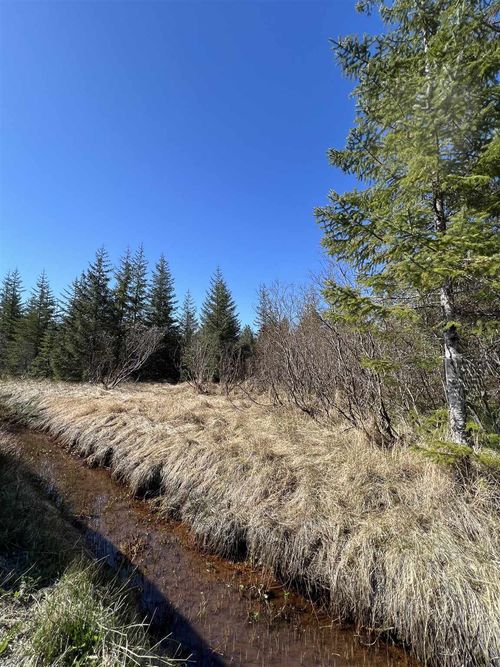 NHN Rink Creek Rd, Gustavus, AK, 99826 | Card Image