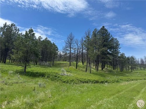 49 Bruner Mountain Rd, Roundup, MT, 59072-6565 | Card Image