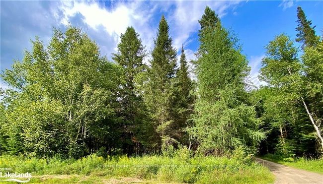 0 Concession 10 And 11 Road, Home with 0 bedrooms, 0 bathrooms and null parking in Parry Sound, Unorganized, Centre Part ON | Image 4