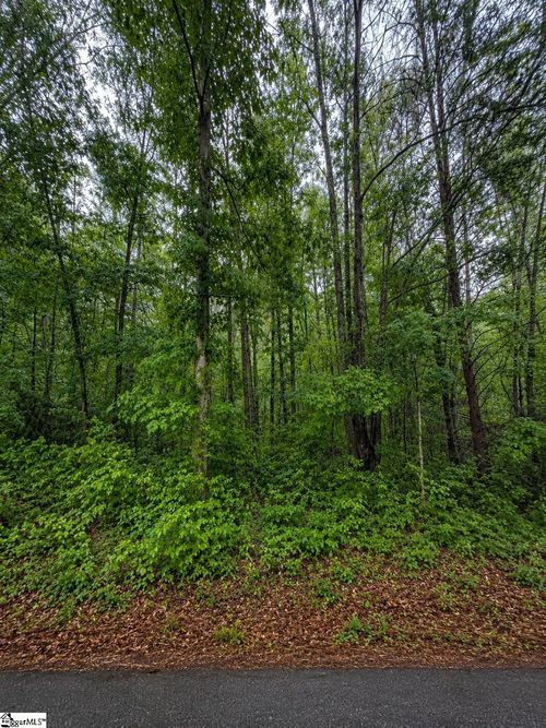 lot-1-00 Valley Rd, Travelers Rest, SC, 29690 | Card Image