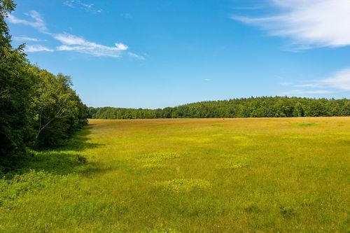 195 Goss Hill Rd, Huntington, MA, 01050-9631 | Card Image