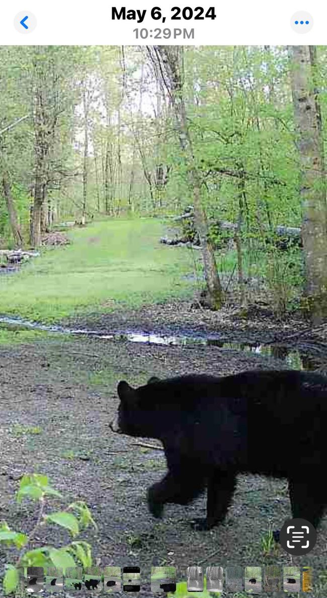 10830 3 Mile Rd, Home with 0 bedrooms, 0 bathrooms and null parking in Branch MI | Image 63