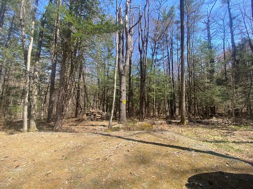 0 Schaefer Way, Charlemont, MA, 01339 | Card Image