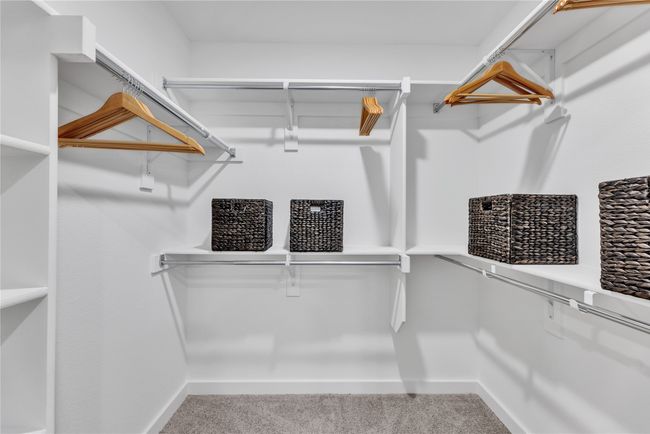 Spacious closet featuring carpet | Image 13