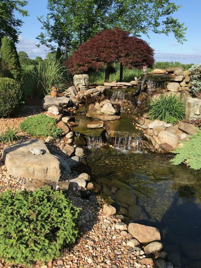 This is what the water feature pond you will have to look forward to when everything is in bloom! Photo taken Summer 2023. | Image 41
