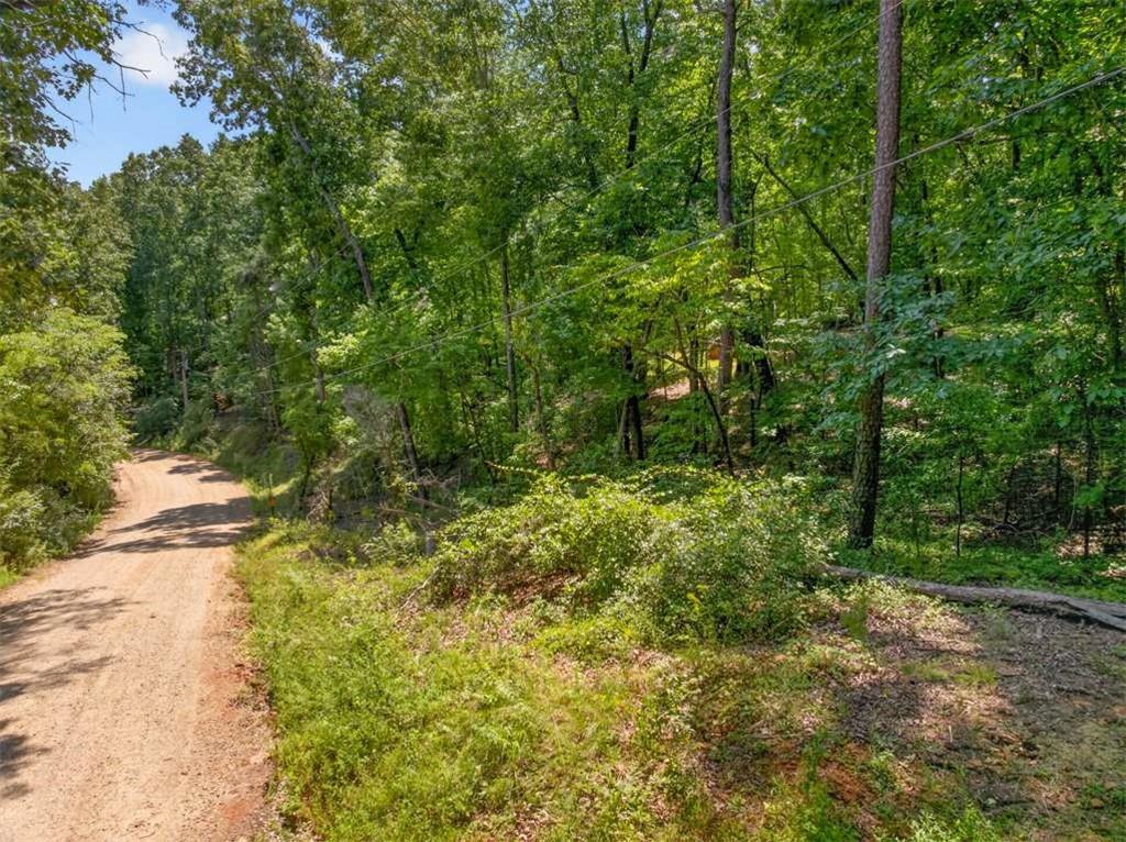 Land in Clarkesville 3