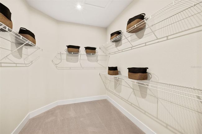 Model Owner's Closet | Image 25