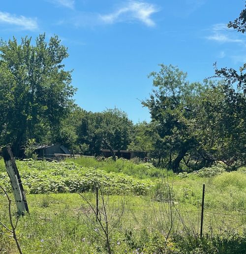 918 S Ellis St, Groesbeck, TX, 76642-1868 | Card Image