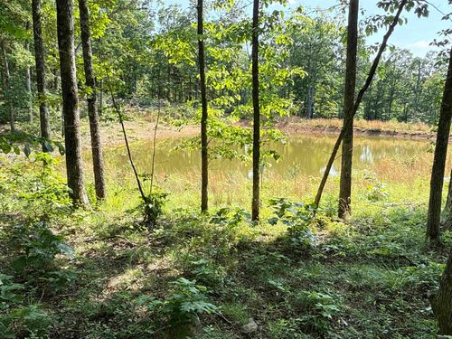 00 Nickel Dr, Witts Springs, AR, 72686 | Card Image