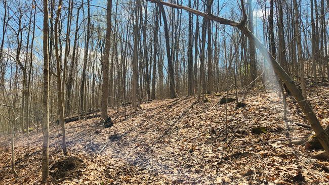 TRACT-2-PIKE-LAKE-GETAWA - 0 Pike Lake Rd, Home with 0 bedrooms, 0 bathrooms and null parking in Bainbridge OH | Image 33