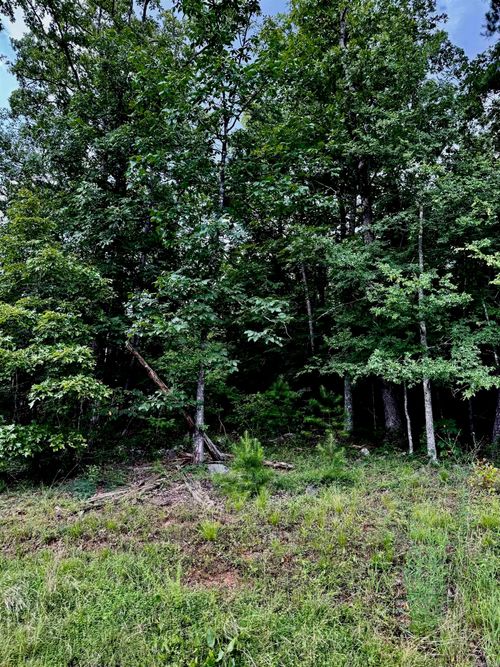 Lot 34 Primrose Creek Cir, Heber Springs, AR, 72543-8753 | Card Image