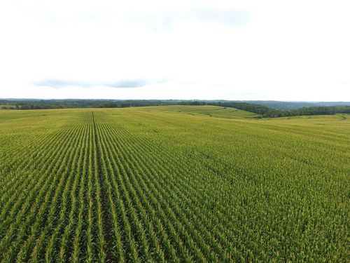 126.75 acres Booth Lane, FOREST, WI, 54664 | Card Image