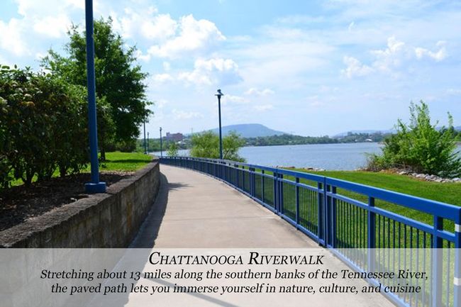1428 Park Ave, House other with 3 bedrooms, 3 bathrooms and null parking in Chattanooga TN | Image 46