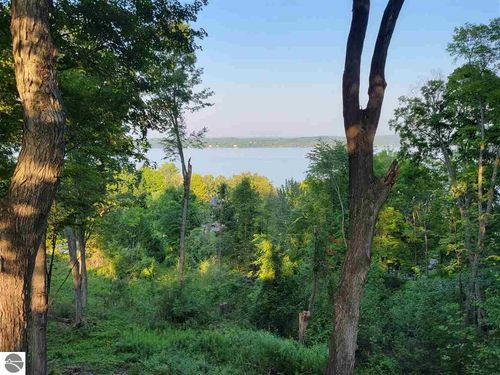 Lot 6 Torch Hill Ct, Rapid City, MI, 49676 | Card Image