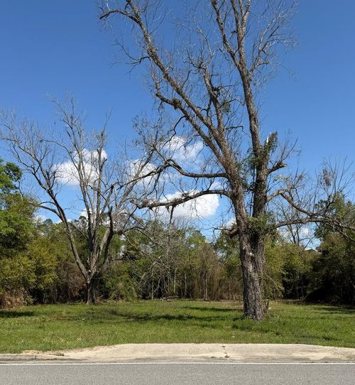 2540 James Rd, Valdosta, GA, 31601-7918 | Card Image