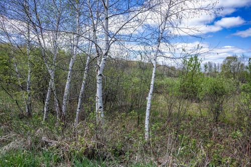 70 acres 22nd Street, Necedah, WI, 54646 | Card Image