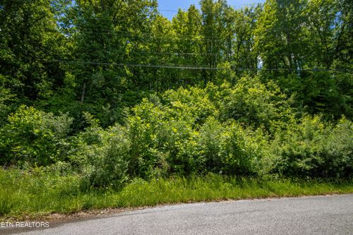 Lot 18 Saddleridge, Speedwell, TN, 37870 | Card Image
