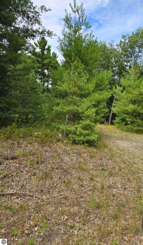 4699 Johnson Rd, Oscoda, MI, 48750-9528 | Card Image