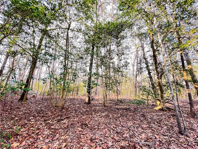 00 New Bridge Rd, Home with 0 bedrooms, 0 bathrooms and null parking in Mc Coll SC | Image 31